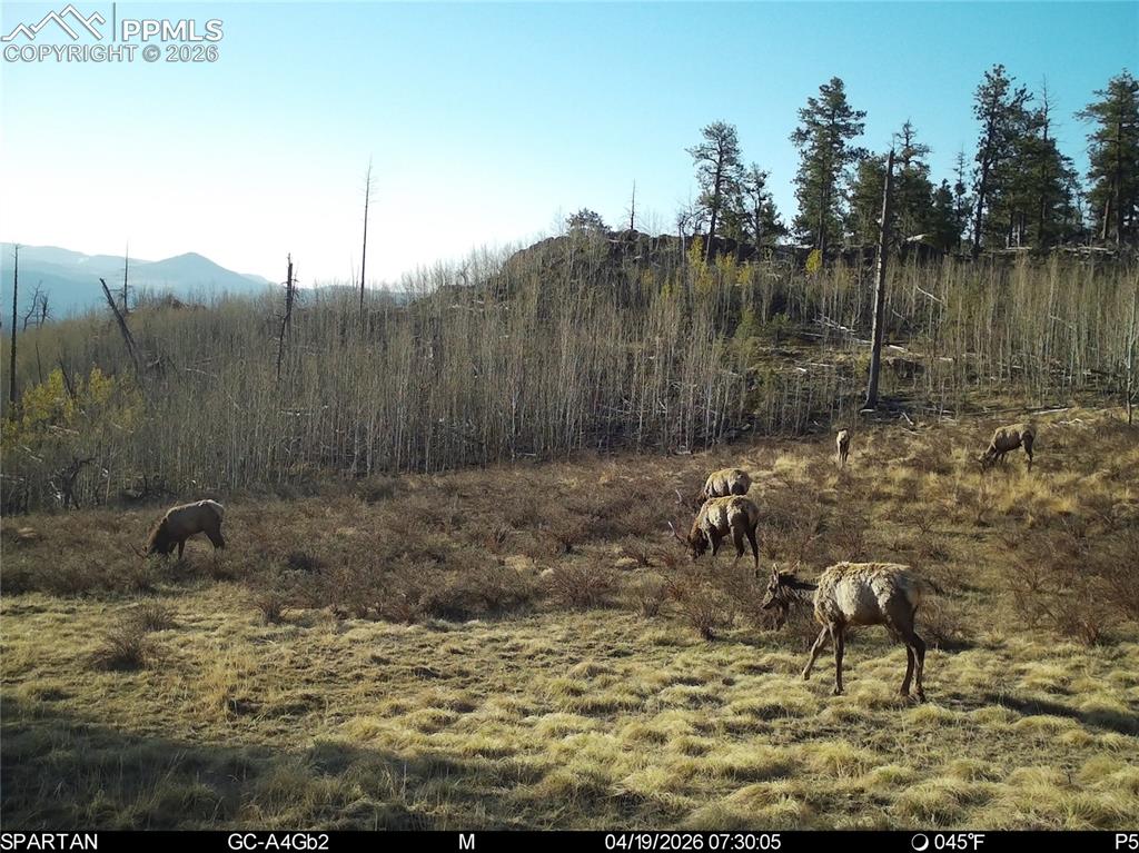 404 Valley Drive Florissant CO 80816