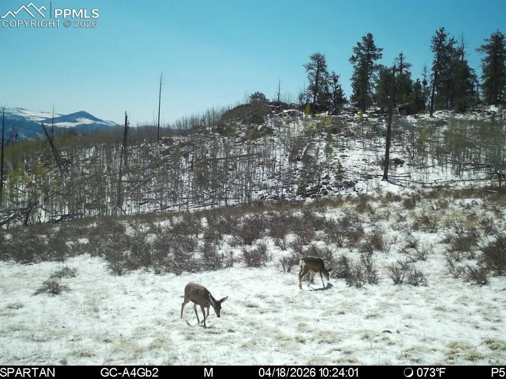 404 Valley Drive Florissant CO 80816