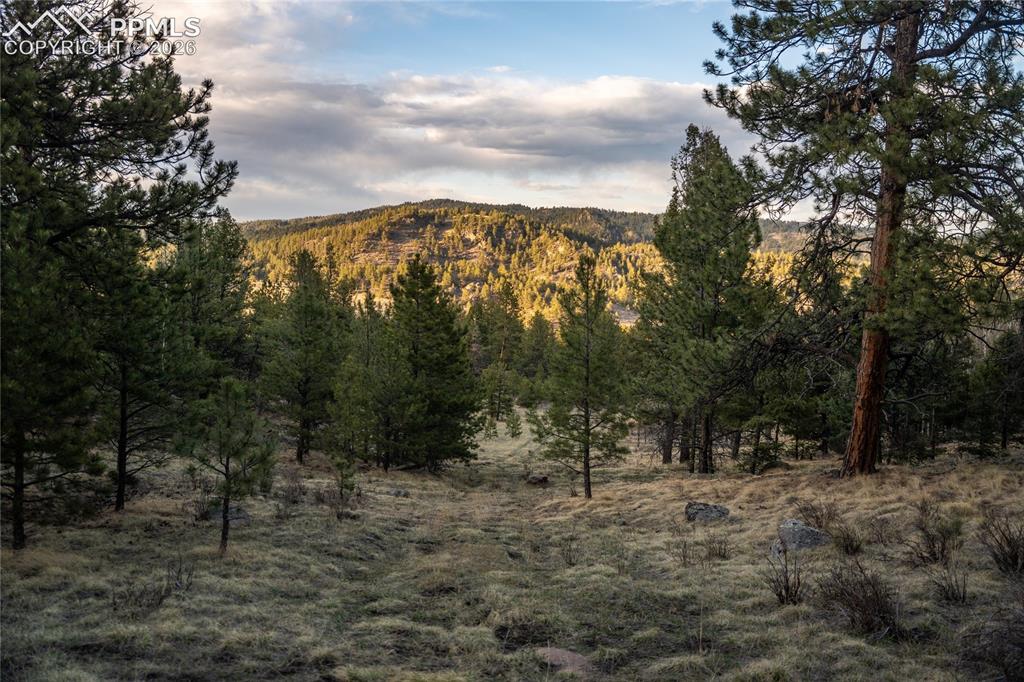 404 Valley Drive Florissant CO 80816