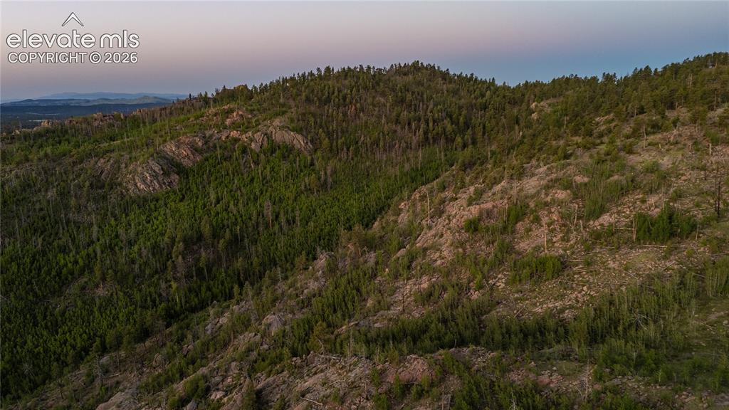 404 Valley Drive Florissant CO 80816
