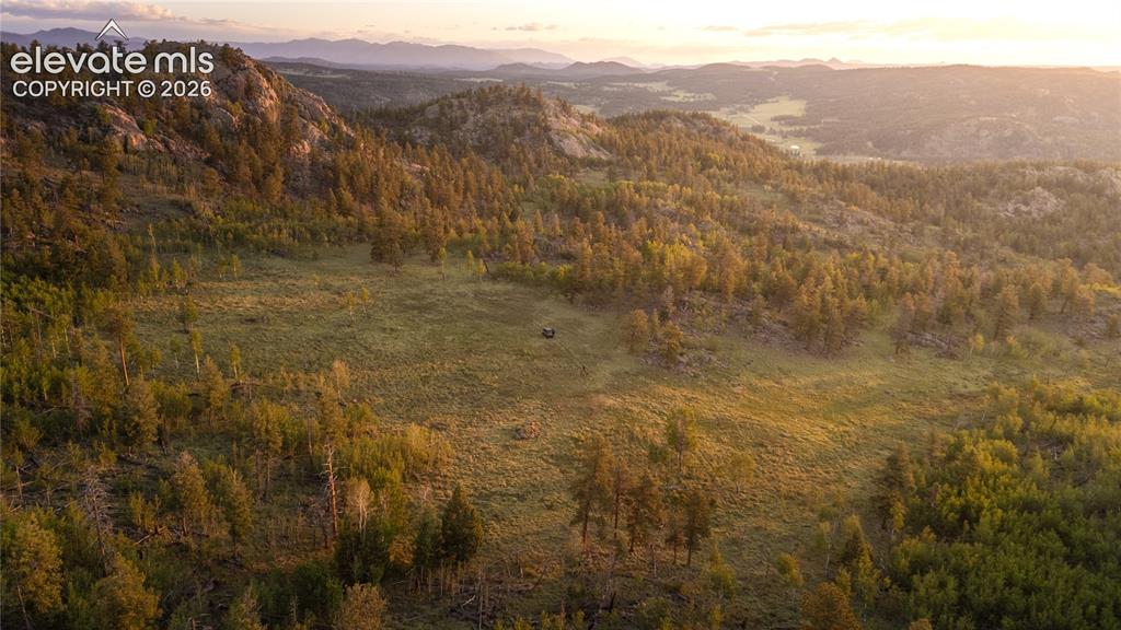 404 Valley Drive Florissant CO 80816