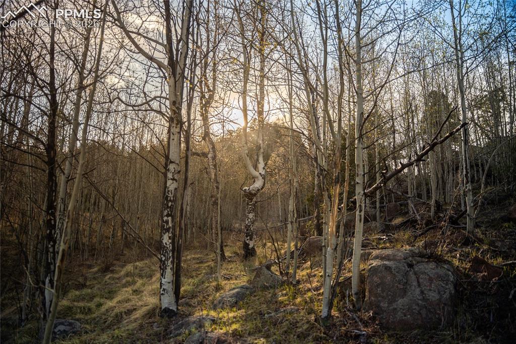 404 Valley Drive Florissant CO 80816