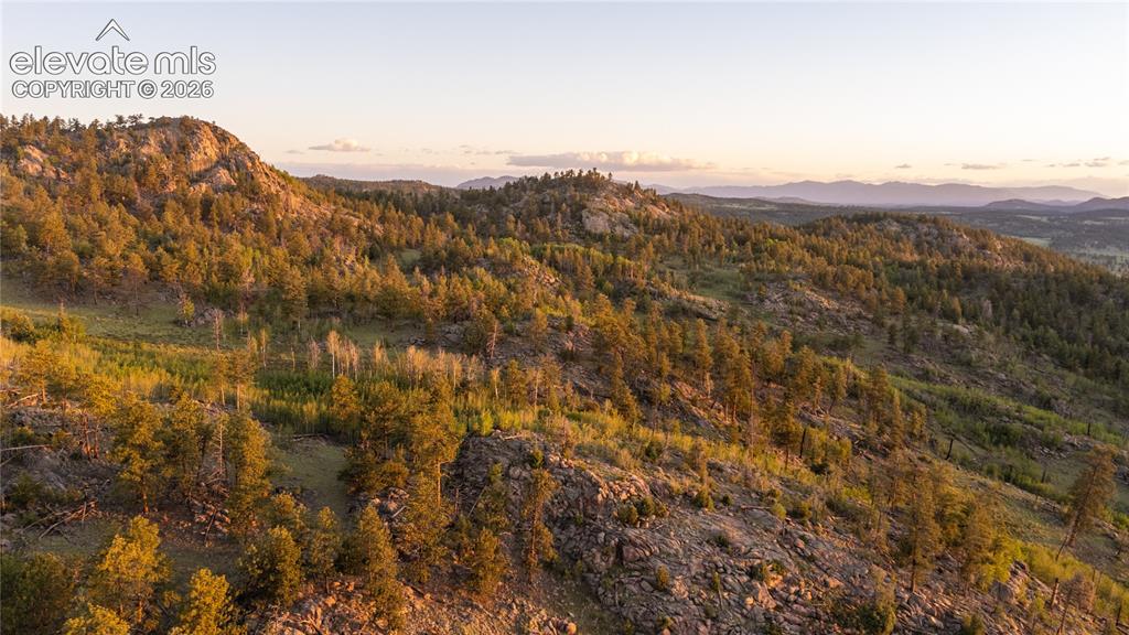404 Valley Drive Florissant CO 80816