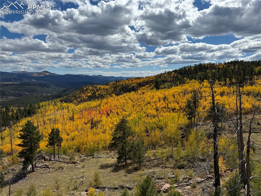 404 Valley Drive Florissant CO 80816