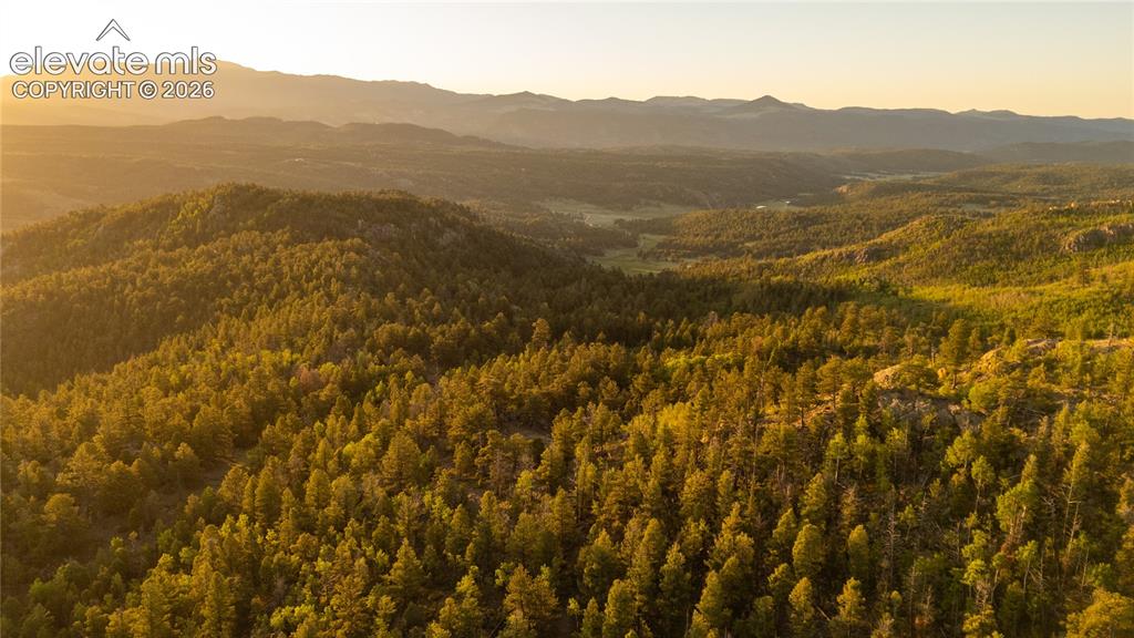 404 Valley Drive Florissant CO 80816