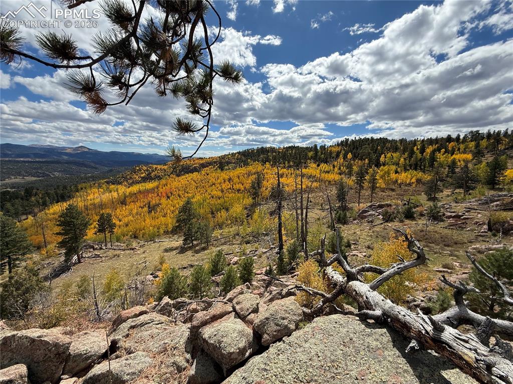 404 Valley Drive Florissant CO 80816