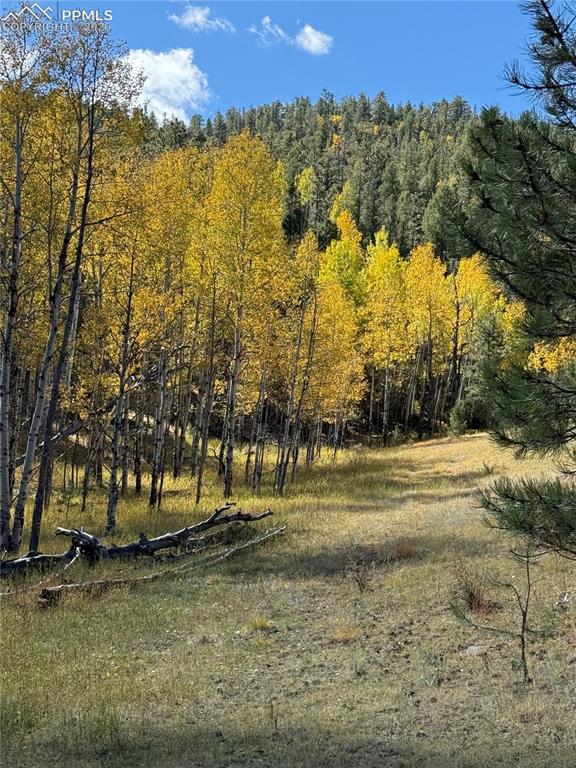 404 Valley Drive Florissant CO 80816