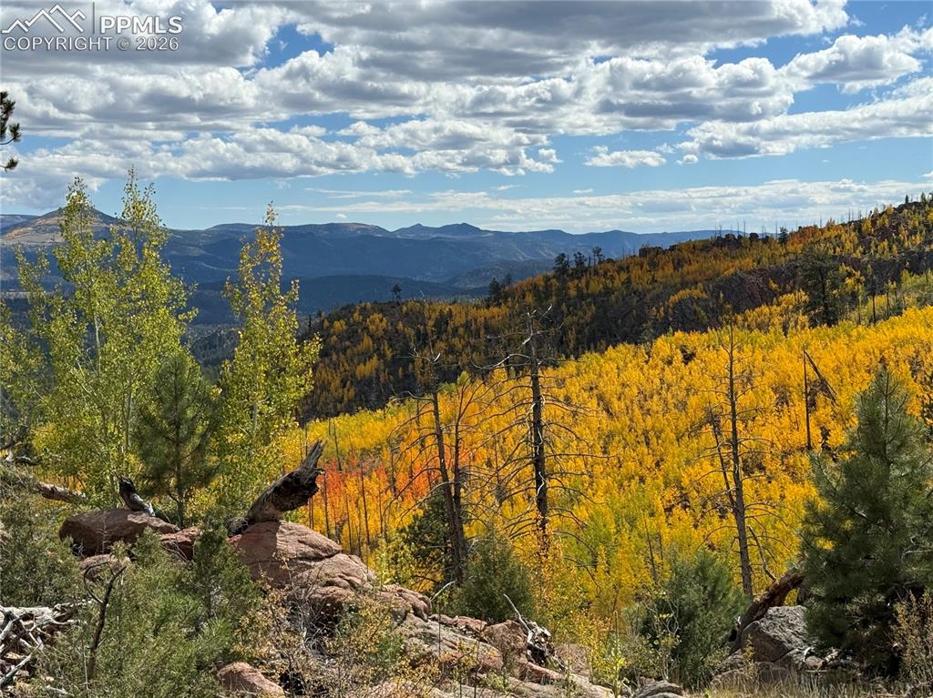404 Valley Drive Florissant CO 80816
