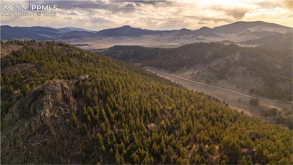 404 Valley Drive Florissant CO 80816