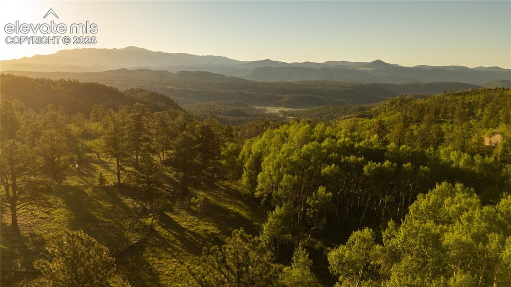 404 Valley Drive Florissant CO 80816