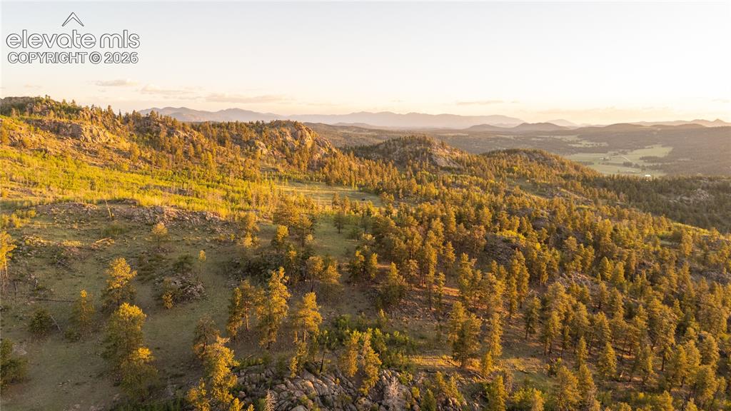 404 Valley Drive Florissant CO 80816