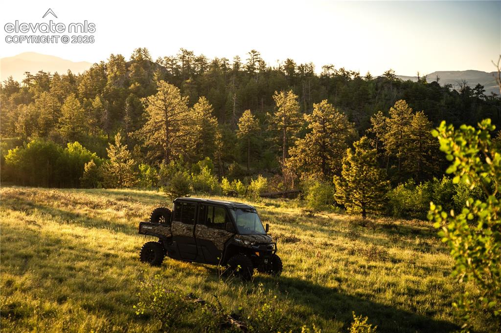 404 Valley Drive Florissant CO 80816