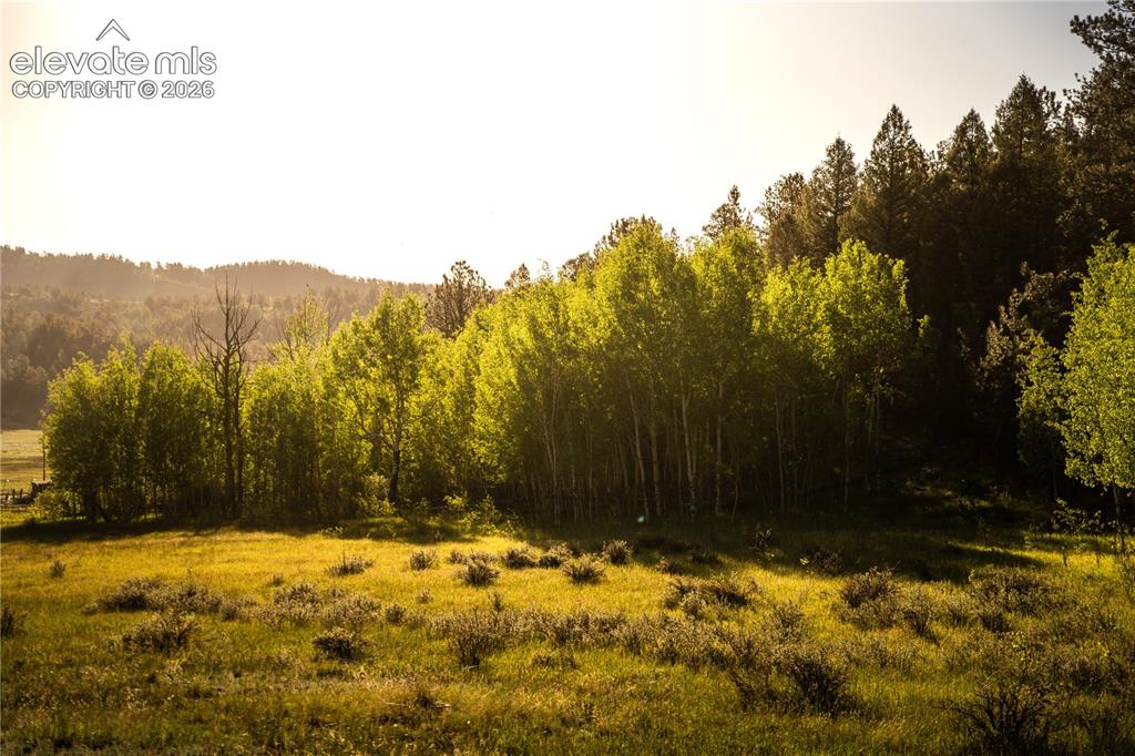 404 Valley Drive Florissant CO 80816