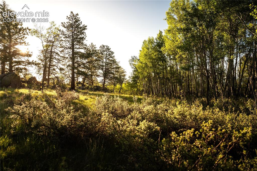 404 Valley Drive Florissant CO 80816