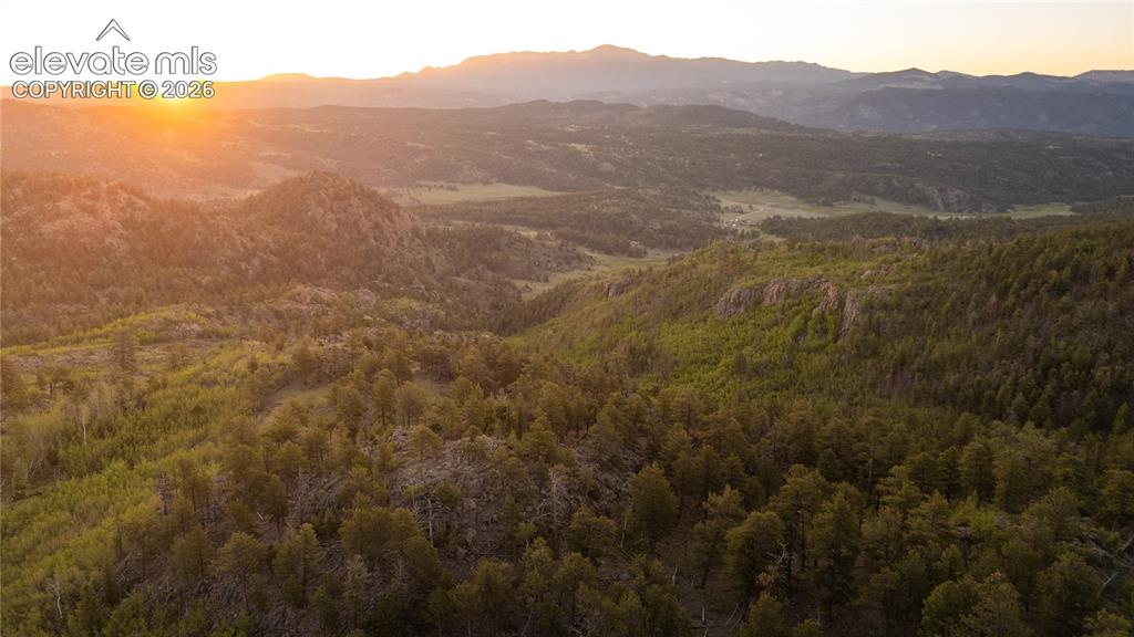 404 Valley Drive Florissant CO 80816