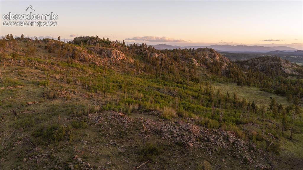 404 Valley Drive Florissant CO 80816