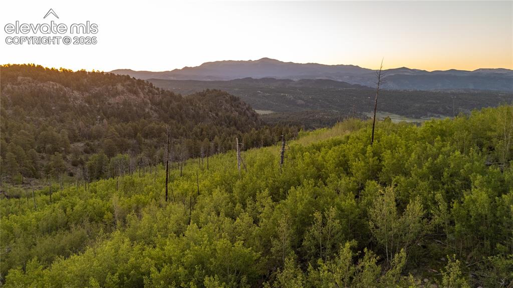404 Valley Drive Florissant CO 80816