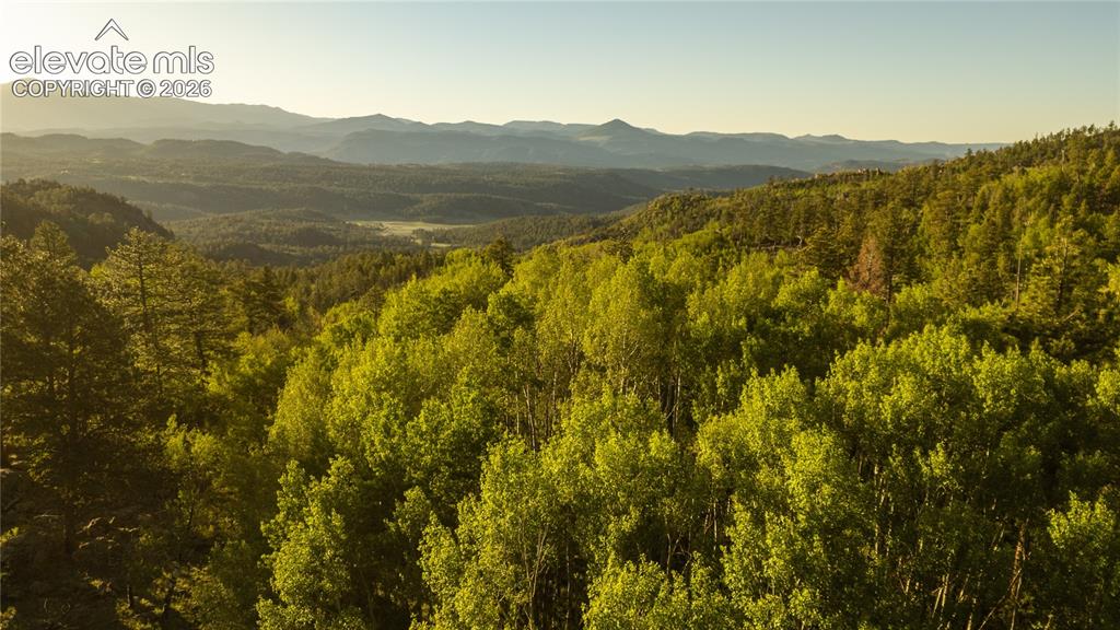 404 Valley Drive Florissant CO 80816