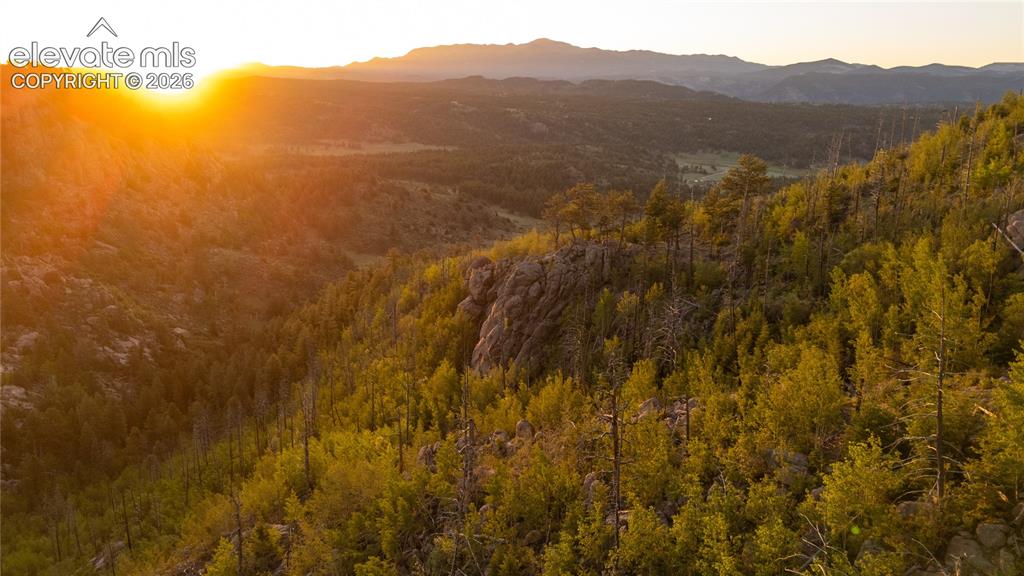 404 Valley Drive Florissant CO 80816