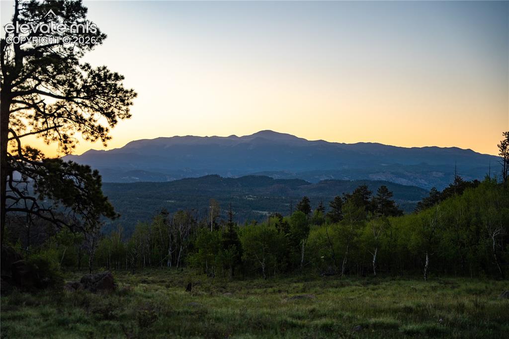 404 Valley Drive Florissant CO 80816