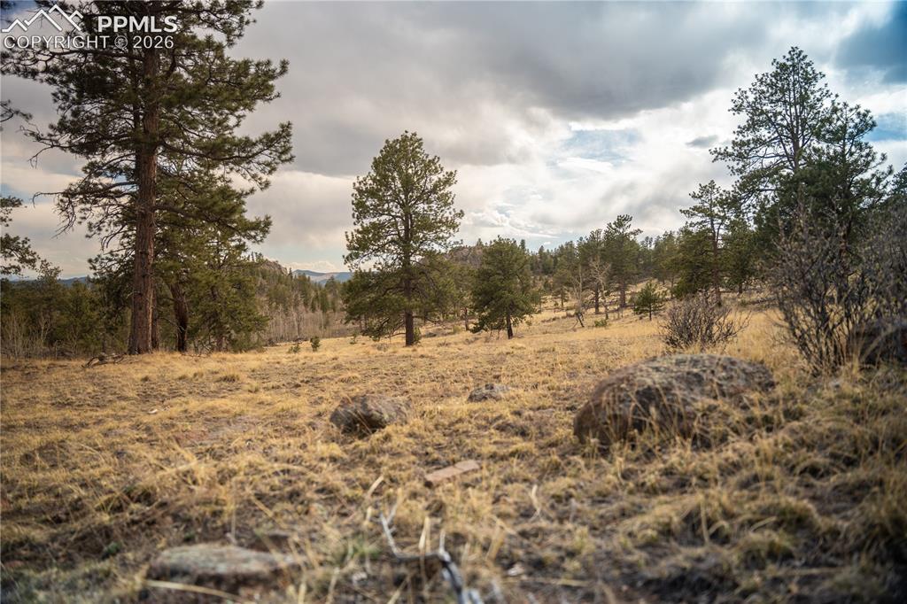 404 Valley Drive Florissant CO 80816