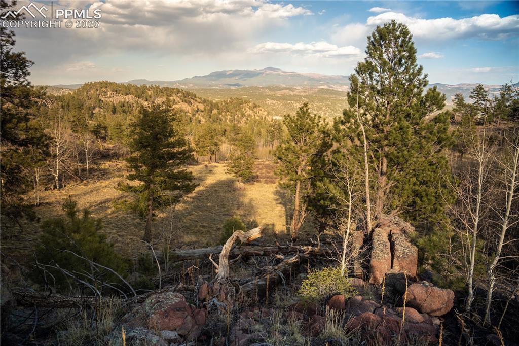404 Valley Drive Florissant CO 80816