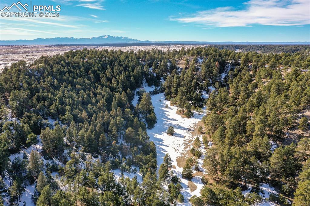 16490 Mesquite Road Peyton CO 80831
