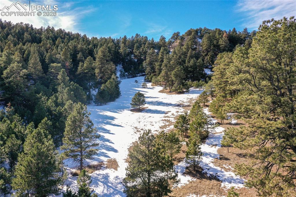 16490 Mesquite Road Peyton CO 80831