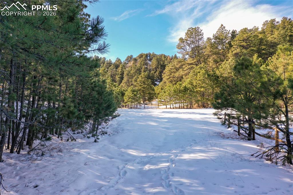 16490 Mesquite Road Peyton CO 80831