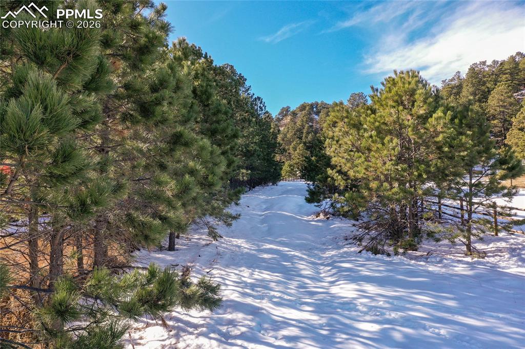 16490 Mesquite Road Peyton CO 80831