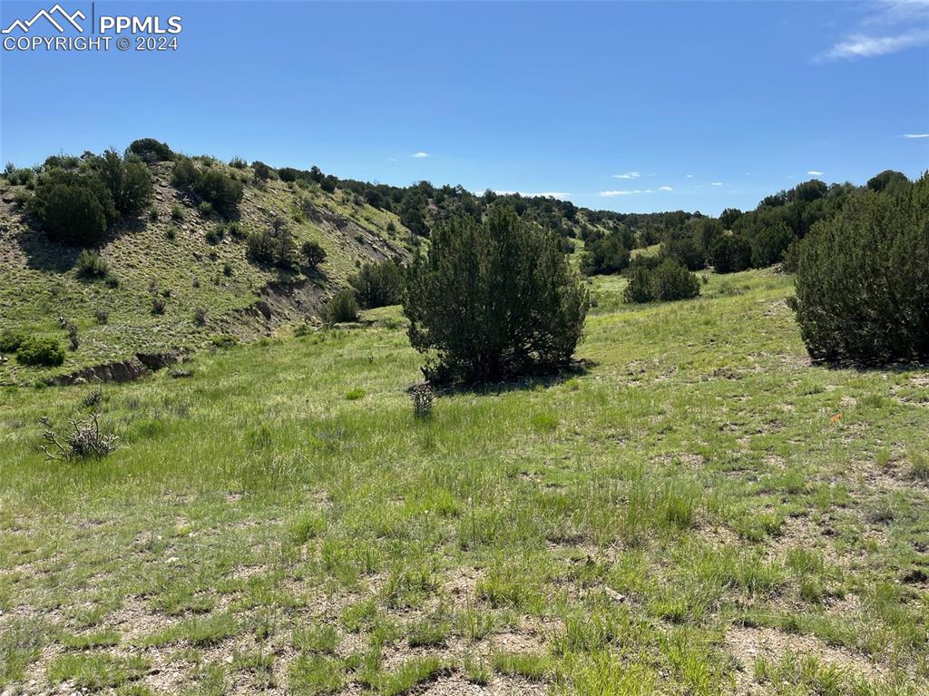 Railroad Springs Road Pueblo CO 81004