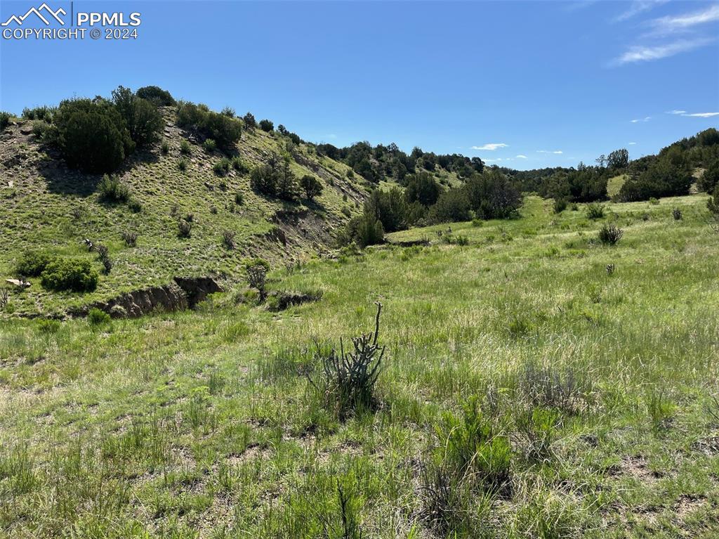 Railroad Springs Road Pueblo CO 81004