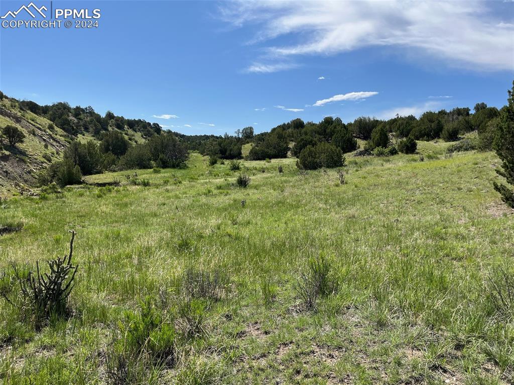 Railroad Springs Road Pueblo CO 81004