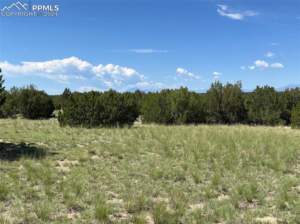 Railroad Springs Road Pueblo CO 81004