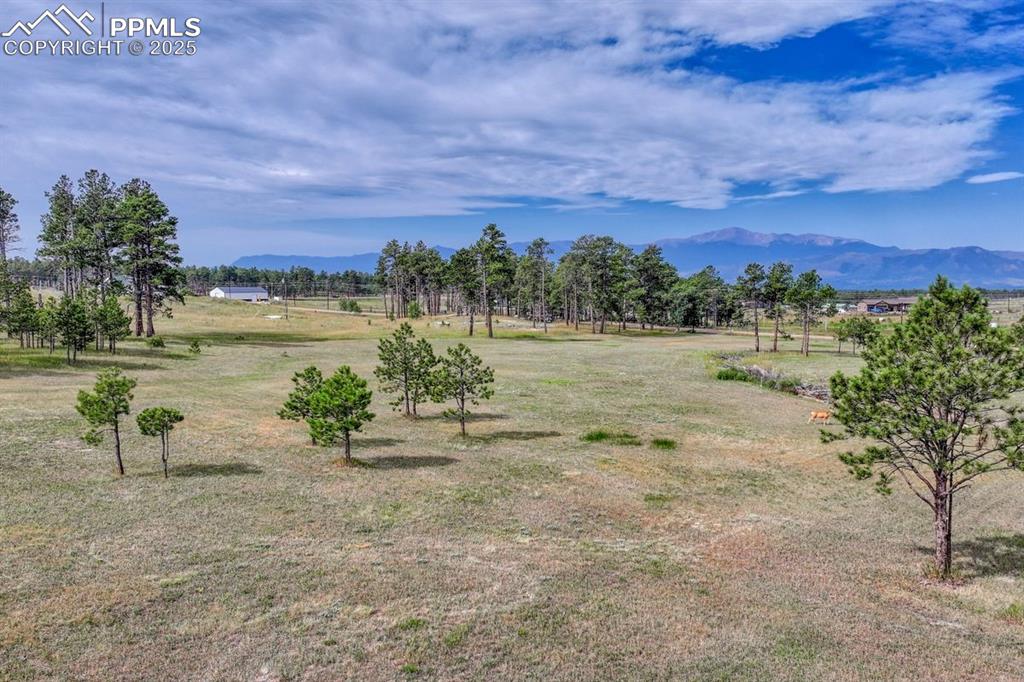 Lot 4 Forest Heights Circle Colorado Springs CO 80908