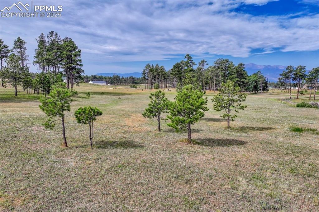 Lot 4 Forest Heights Circle Colorado Springs CO 80908