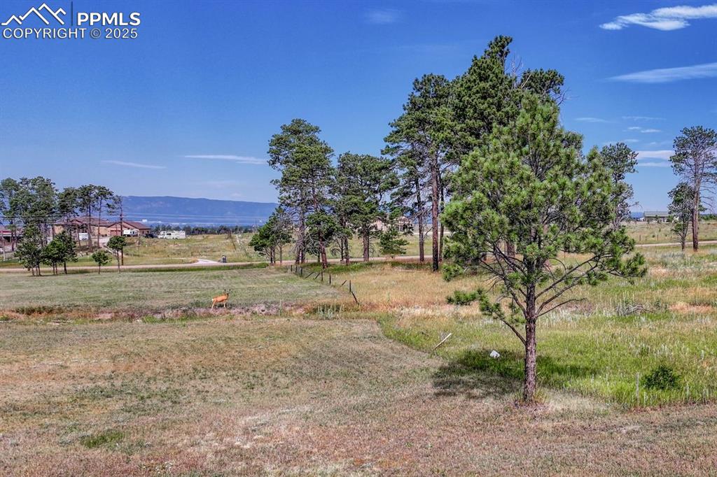 Lot 4 Forest Heights Circle Colorado Springs CO 80908