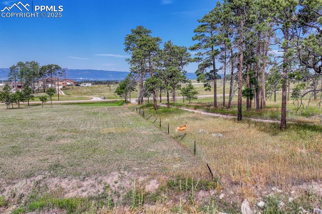 Lot 4 Forest Heights Circle Colorado Springs CO 80908