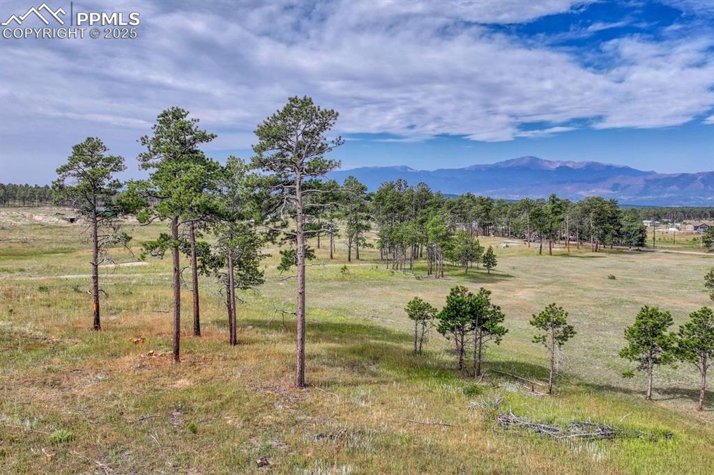 Lot 4 Forest Heights Circle Colorado Springs CO 80908