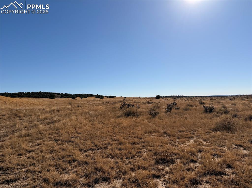 Lot 316 Longhorn Ranch Model CO 81059