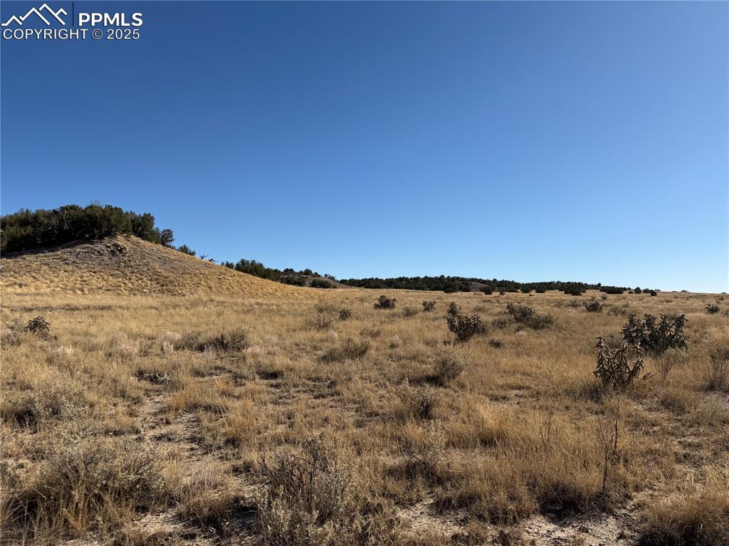 Lot 316 Longhorn Ranch Model CO 81059
