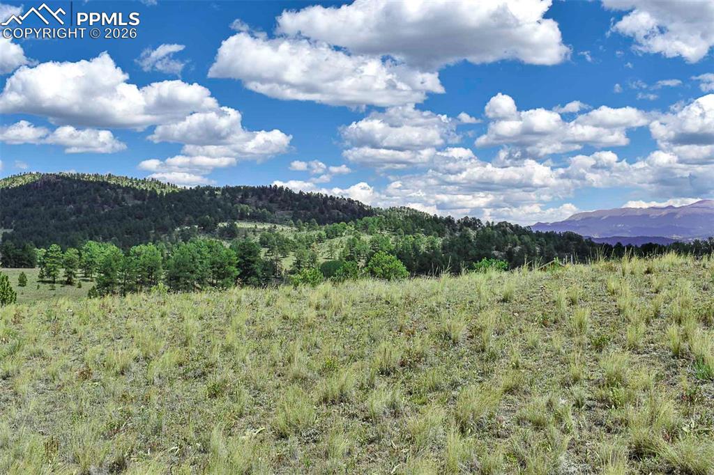4680 County Road 71 Guffey CO 80820
