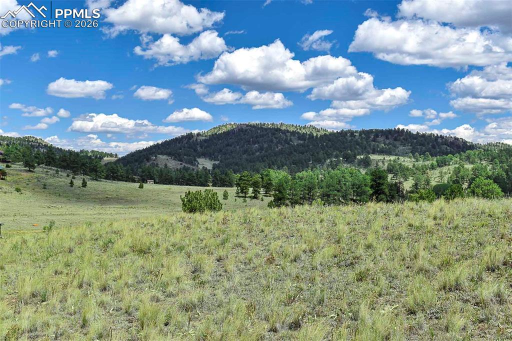 4680 County Road 71 Guffey CO 80820