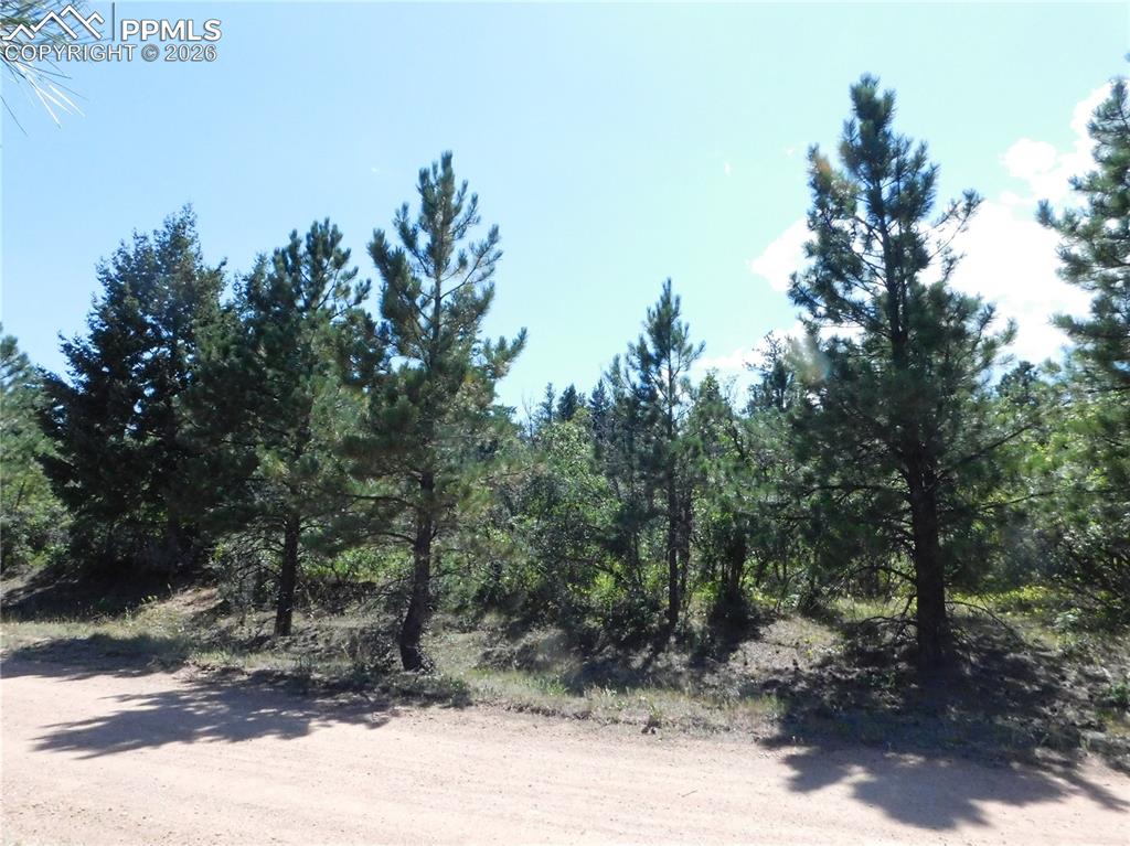 Lot 9 Troon Court Larkspur CO 80118