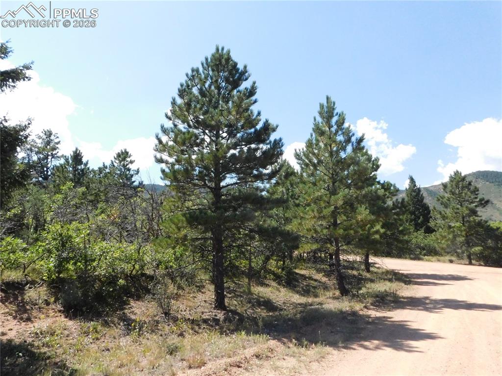 Lot 9 Troon Court Larkspur CO 80118
