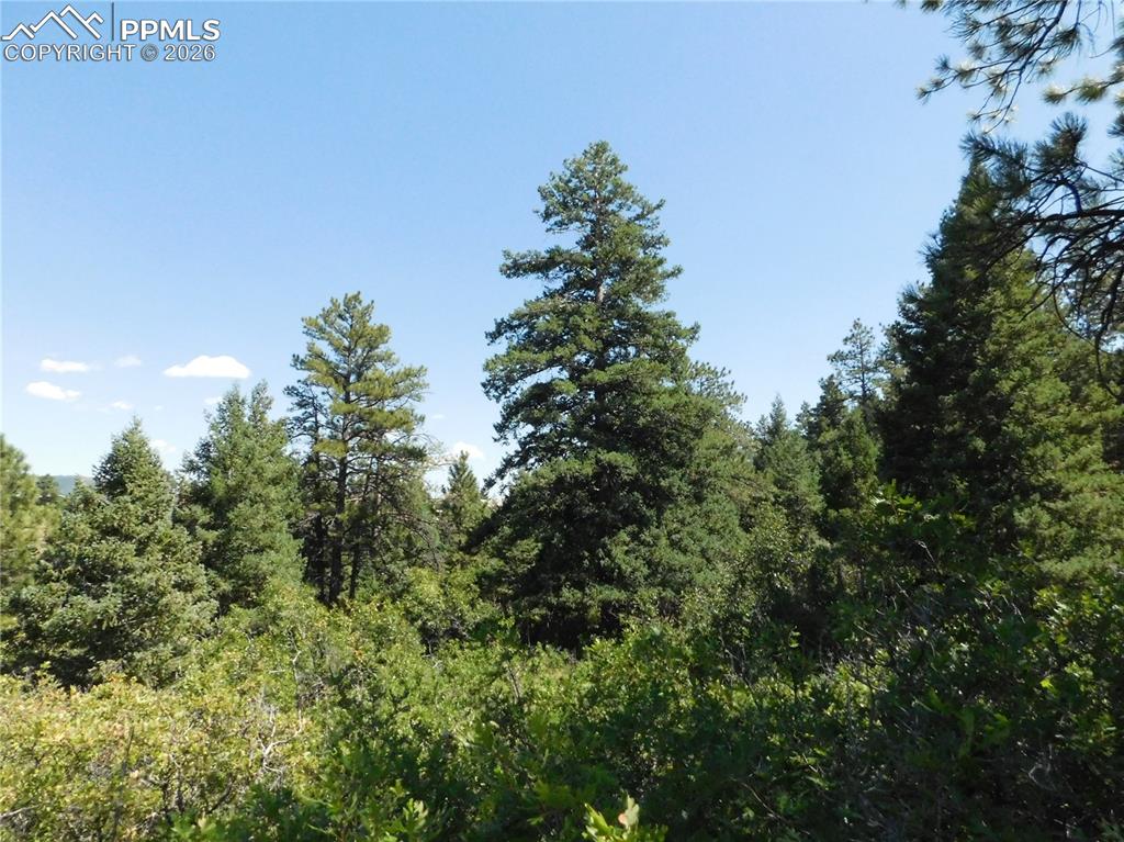 Lot 9 Troon Court Larkspur CO 80118