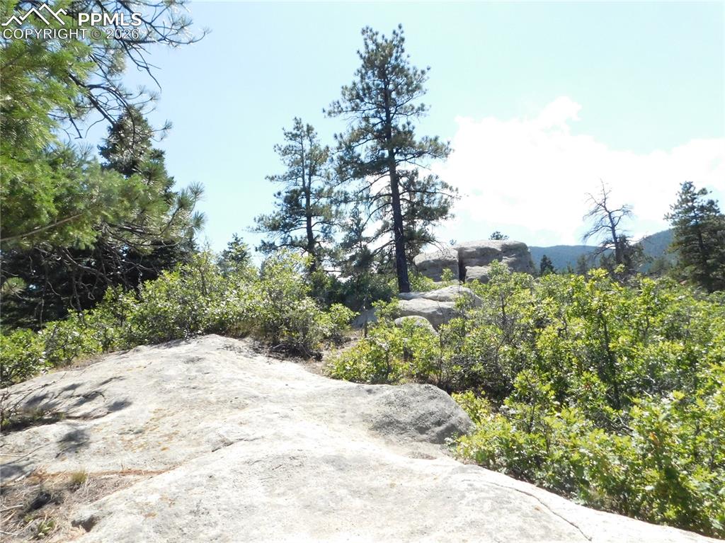 Lot 9 Troon Court Larkspur CO 80118