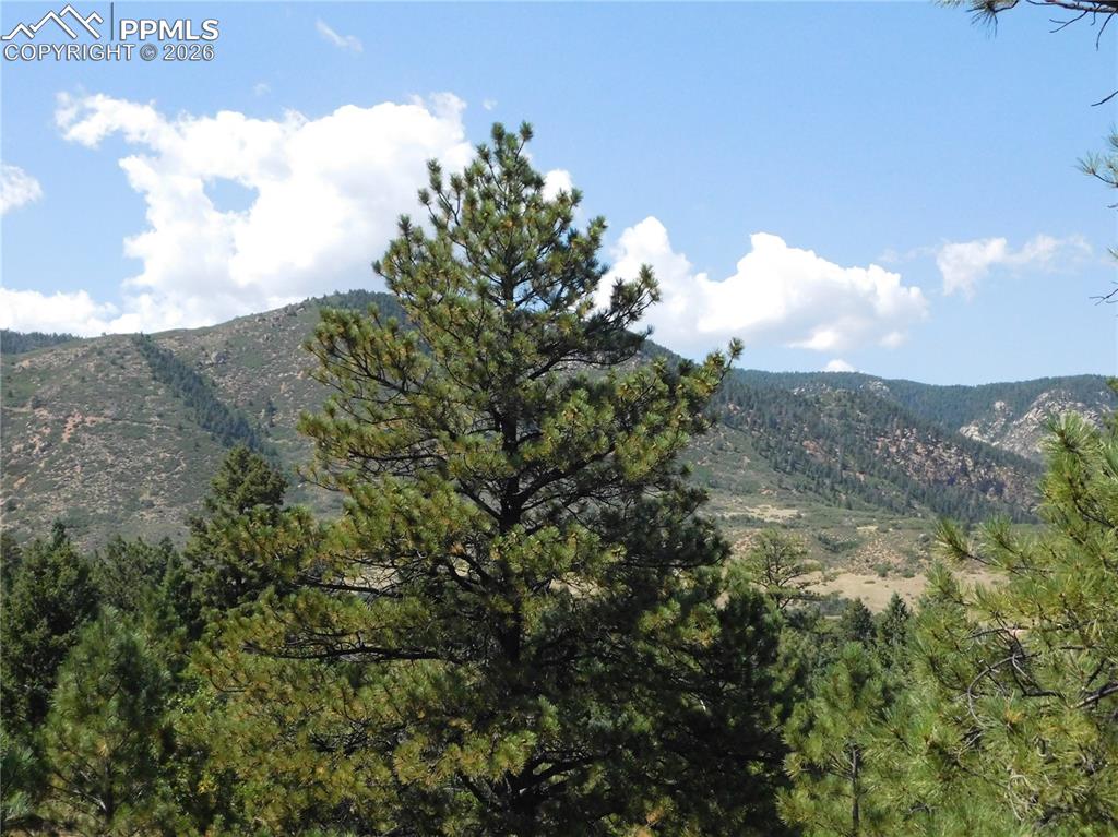 Lot 9 Troon Court Larkspur CO 80118