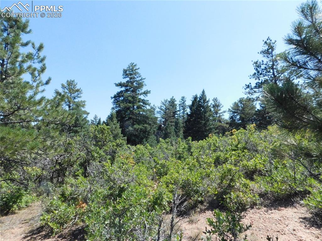 Lot 9 Troon Court Larkspur CO 80118