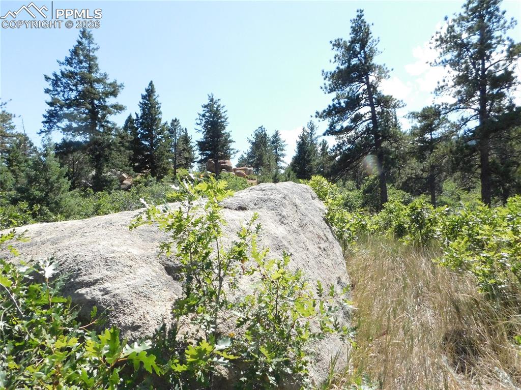 Lot 9 Troon Court Larkspur CO 80118